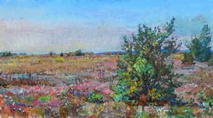 Vibrante paisagem de urze de Andrii Kutsachenko