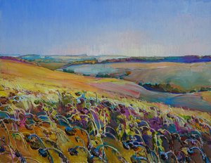 Campos de girassóis coloridos de Andrii Kutsachenko