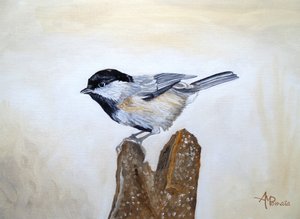 Pássaro da espécie Chickadee num tronco de árvore