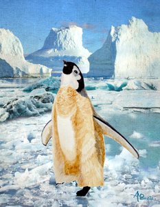Pinguim Curioso no Gelo da Antártida de Angeles M. Pomata