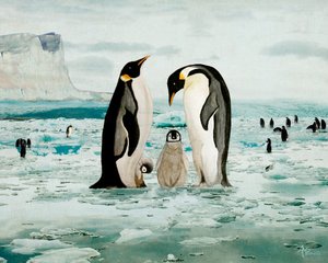 Família do pinguim-imperador de Angeles M. Pomata