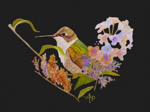 Flores em forma de coração de beija-flor de Angeles M. Pomata