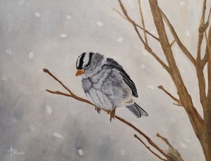 Pardal-silencioso-de-inverno de Angeles M. Pomata