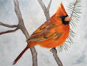 Cardeal-vermelho-nevado de Angeles M. Pomata