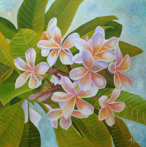 Flores delicadas de plumeria de Angeles M. Pomata