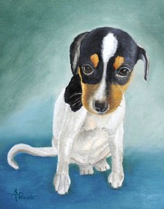 Retrato de um cachorrinho tricolor de Angeles M. Pomata