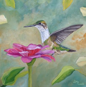 Zínia «Beija-flor Vibrante» de Angeles M. Pomata