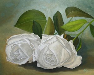 Rosas Brancas de Angeles M. Pomata