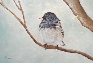 Pássaro junco-de-inverno de Angeles M. Pomata