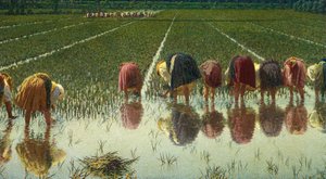 Por oitenta centavos, de Angelo Morbelli (1853-1919), Óleo sobre tela, 67,5x124,5 cm de Angelo Morbelli