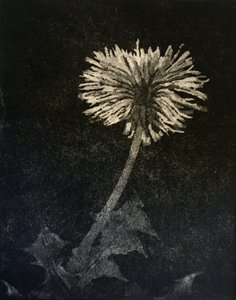 Hope, 2019 (gravura e aquatint sobre papel) de angus hampel