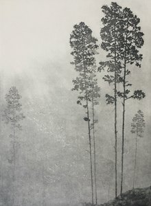 Folhas batidas, asas rugosas, 2021 (gravura e aquatint sobre papel)