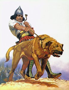 Cão de combate assírio (litografia a cores)