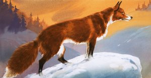 Raposa na neve de Angus McBride