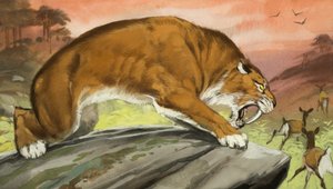 Tigre-dente-de-sabre à caça de Angus McBride