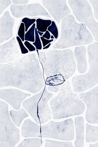 Resumo: Rosa Azul de Ankie Kooi