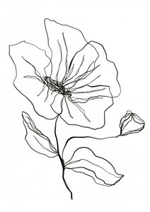 Esboço de uma flor delicada