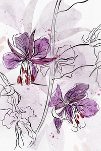 Flores em aquarela roxa