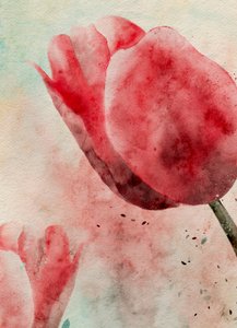 Tulipas em aquarela vibrante de Ankie Kooi