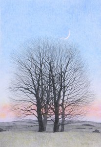 Lua Nova, 2011 (lápis colorido sobre papel) de Anna Phillips
