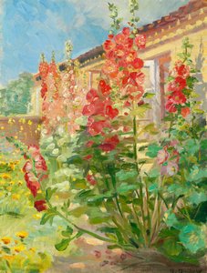 Malvas-rosa no jardim da família Ancher, em Markvej, Skagen. de Anna Ancher