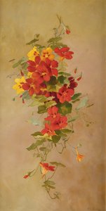 Chagas de Anna Eliza Hardy