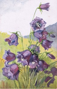 Flor azul, cartão, 1940s