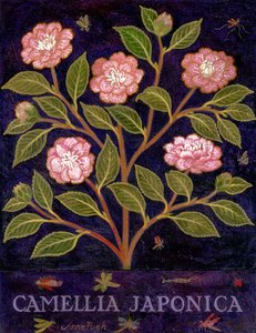 Camélia de Anna Pugh