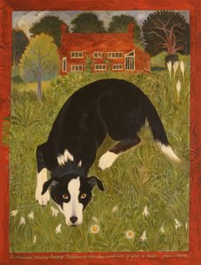 Cão Collie (acrílico) de Anna Pugh