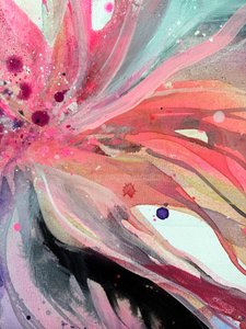 Flores em plena floração