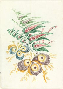 Flores fantásticas com flores de concha de ostra, c. 1795.