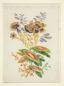 Fantásticas flores, de Nova Suíte de Cadernos de Flores Ideais para o Uso de Designers e Pintores