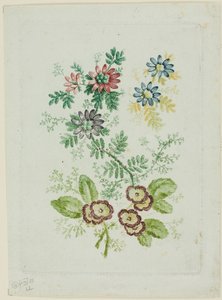 Flores