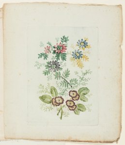 Placa, da nova suíte de cadernos de flores ideais para uso por desenhistas e pintores