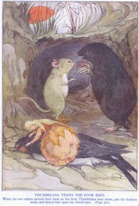 Thumbelina cuida da pobre ave