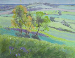 Em direção a Winchelsea, Sussex, com Bluebells na primavera