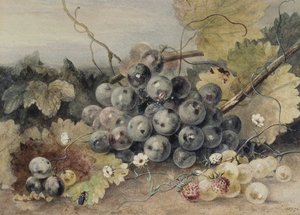 Uvas e morangos de Anne Frances Byrne
