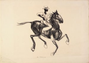 Cavalo e cavaleiro