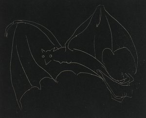 Série da noite: The Bat (gravura, linha branca em papel de capa)