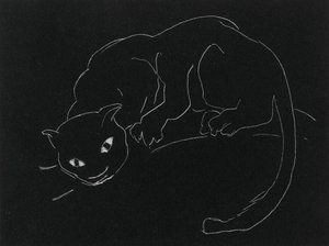 Série Noturna: O Gato (lito, linha branca em papel de capa)
