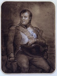 Napoleão I em Saint-Cloud, 1812 de Anne-Louis Girodet de Roucy-Trioson