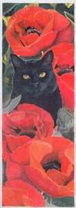Gato preto com papoulas