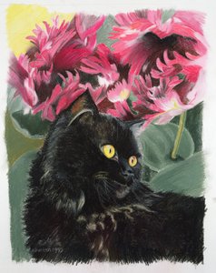 Tulipas negras de Anne Robinson