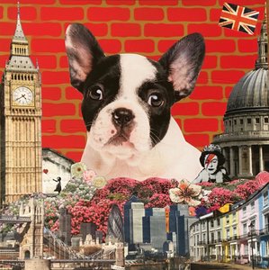 Hug my frenchie; 2015, Mixed media de Anne Storno
