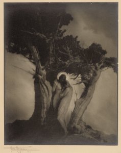 O Coração da Tempestade de Anne W. Brigman