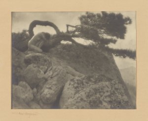 The Lone Pine de Anne W. Brigman