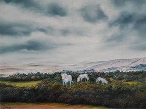 Póneis de Serene Moorland de Annette Armitage
