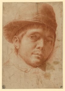 Retrato de um jovem com boné de Annibale Carracci