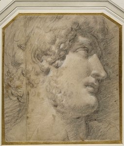 Cabeça do Imperador Gallienus (ou ?Hadrian), depois da antiguidade (giz preto sobre papel creme) de Annibale Carracci