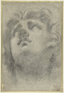 Olhando a cabeça de um tritão de Annibale Carracci